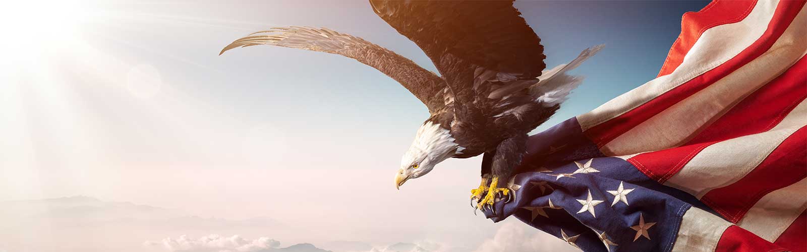 Eagle with American Flag