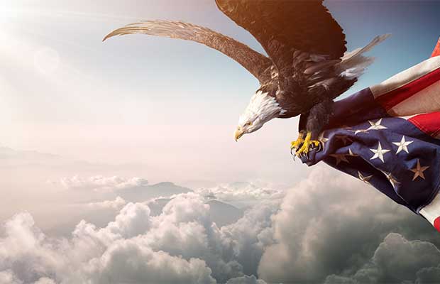 Eagle with American Flag
