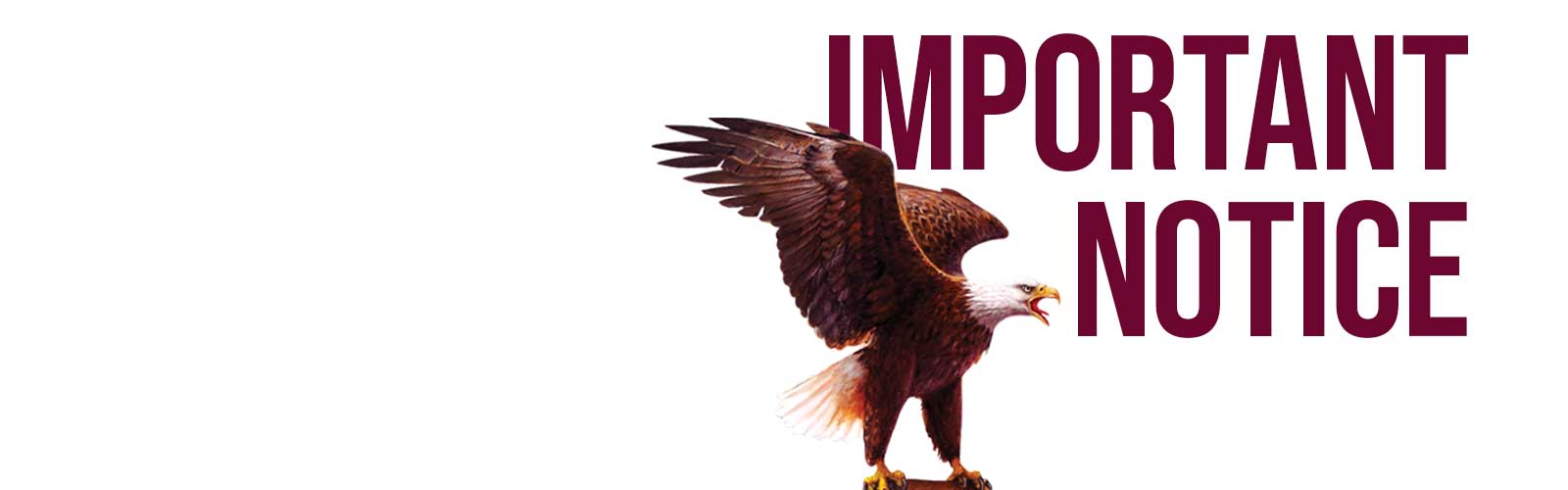 Important Notice Eagle